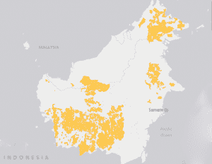 orangutan distribution mapping, explore orangutan borneo